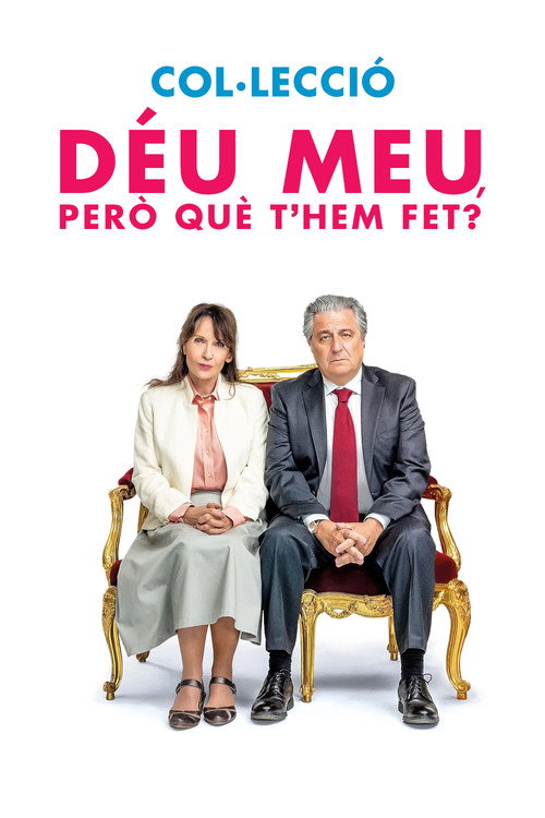 Pòster de Qu'est-ce qu'on a fait au Bon Dieu ? - Saga