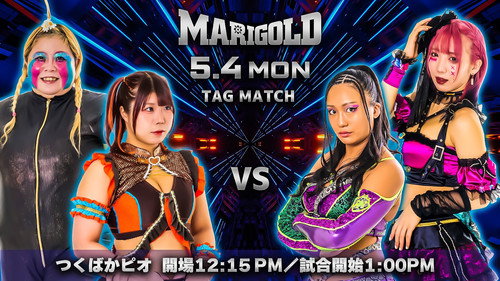 Marigold Shining Attack 2026 ~ Day 2