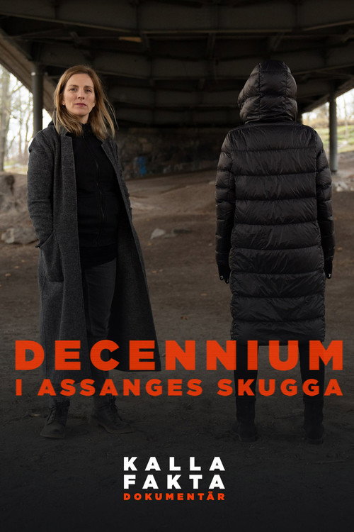 Kalla fakta dokumentär: Decennium, i Assanges skugga