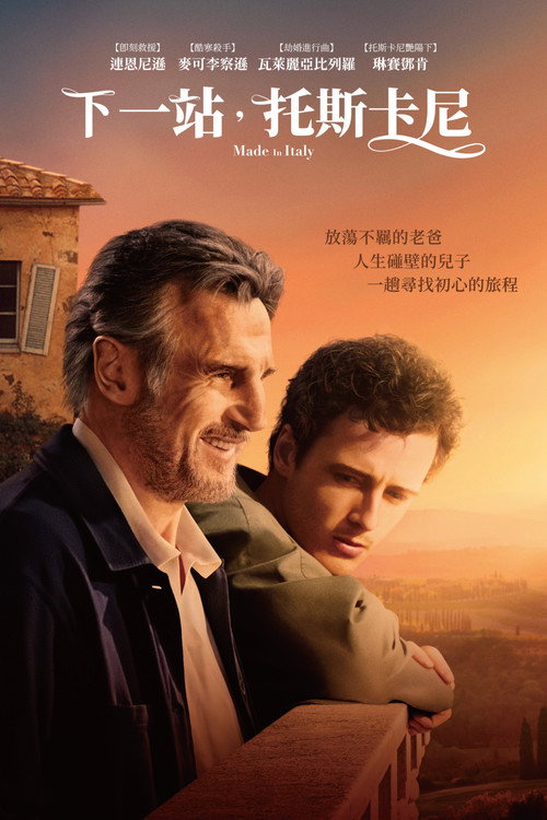 Made in Italy poster