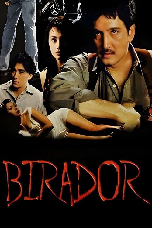 Birador poster