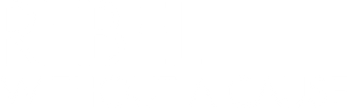 Rebel Without a Cause