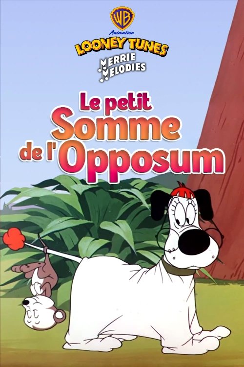 Le petit somme de l'opossum Poster