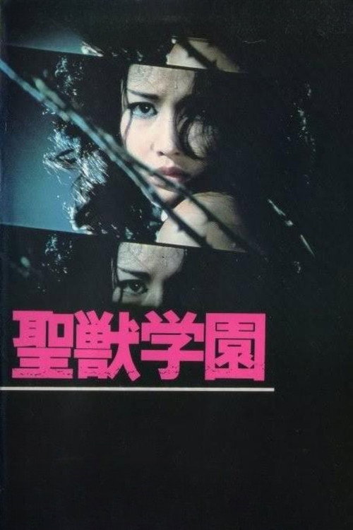 The Transgressor poster