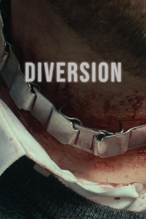 Diversion Movie Poster Image