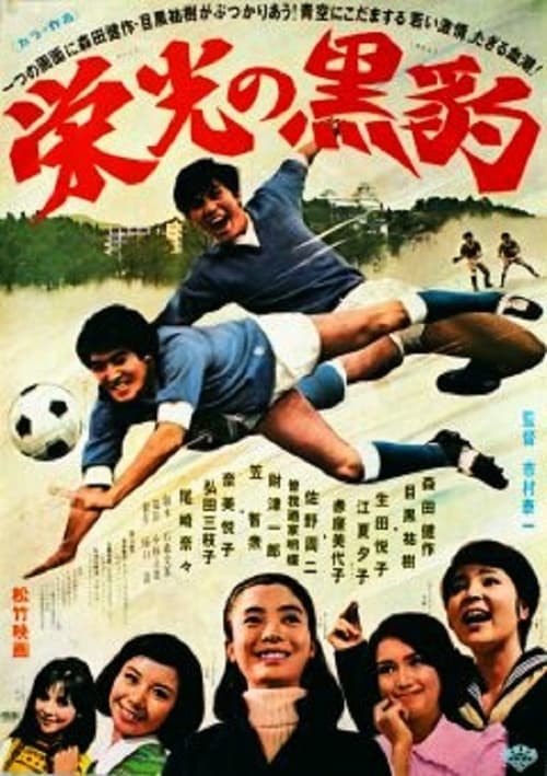 栄光の黒豹 (1969)