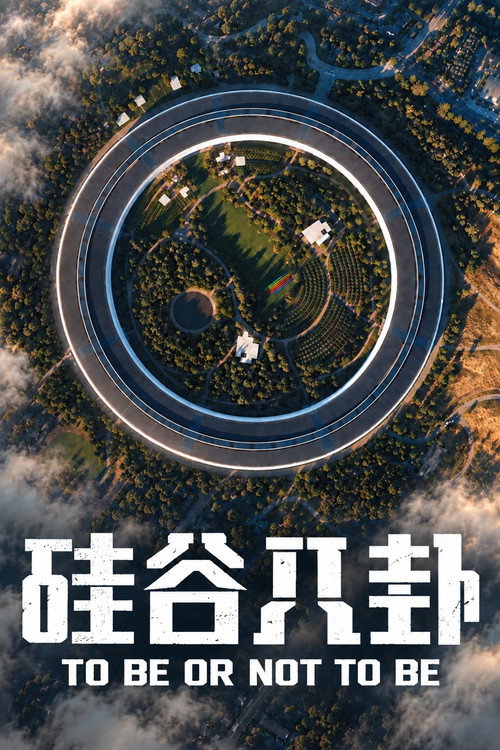 硅谷八卦 poster