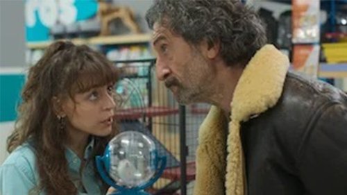 Animal: 1×1