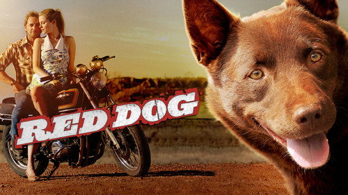 Red Dog