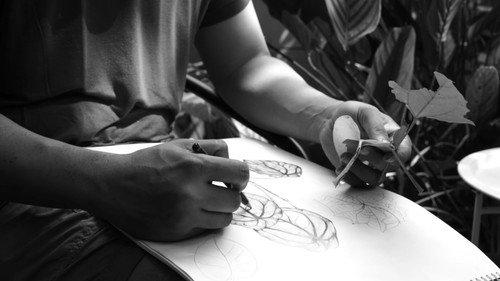 Sparrow in the Storm