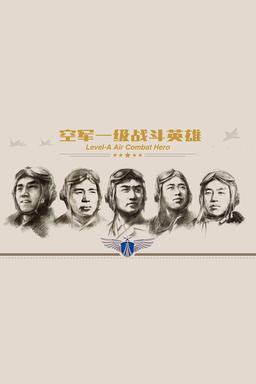 空军一级战斗英雄