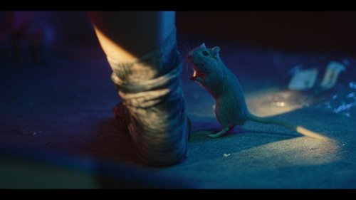 trailer-preview