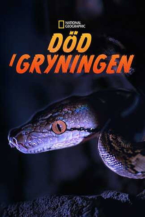 Död i gryningen