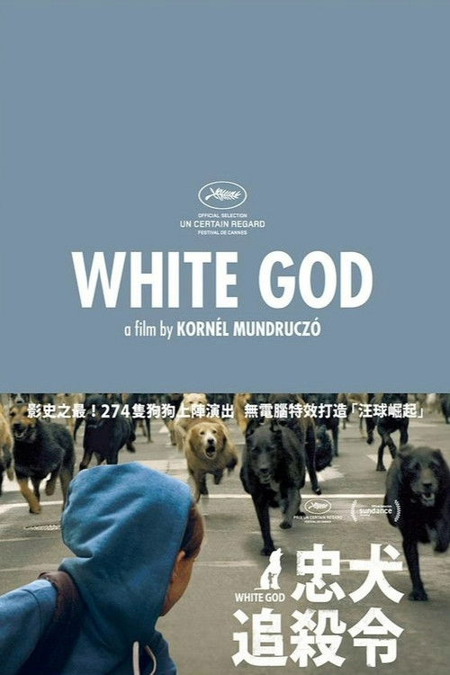 White God poster