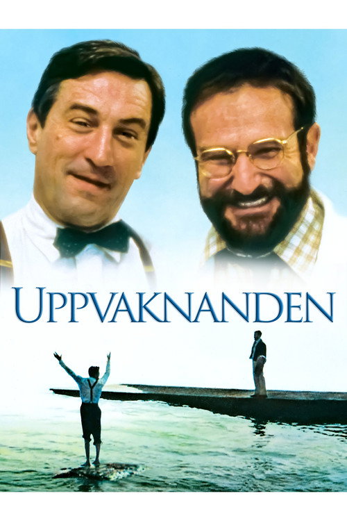 Omslag för Uppvaknanden