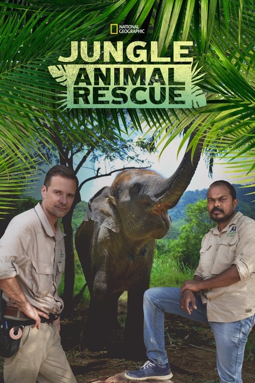 Poster Jungle Animal Rescue