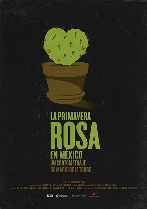 La primavera rosa en México movie poster player