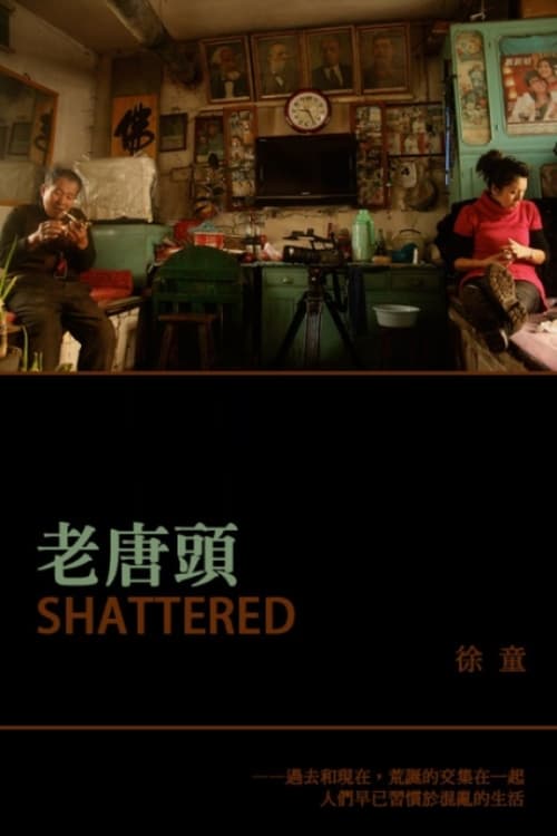 Shattered (2011)