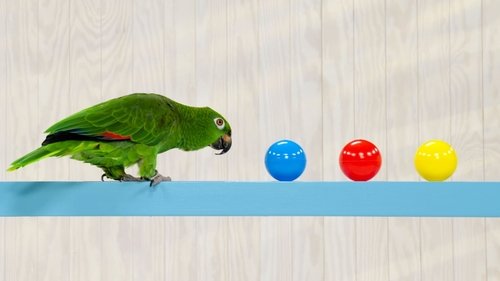 Image de l'épisode 5