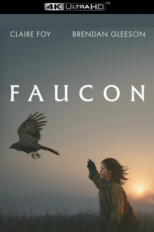 H Is for Hawk poster