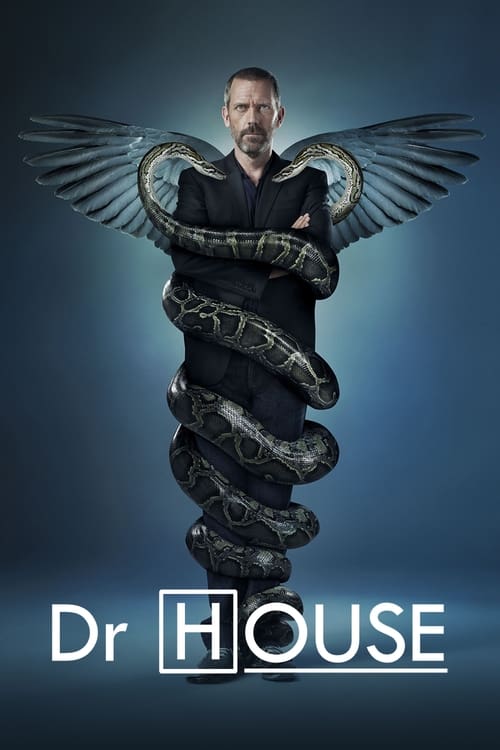 Dr House (2004)