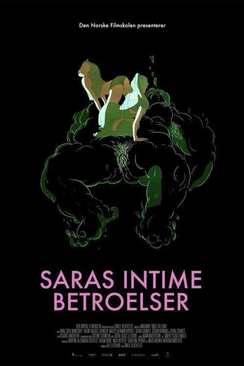 Sara's Intimate Confessions poster