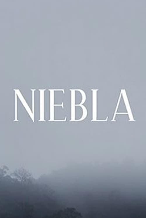 Niebla poster