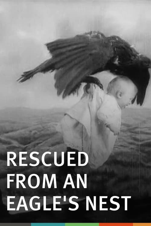 Rescued from an Eagle's Nest (1908) poster