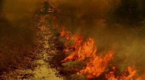 Escena del episodio 14 de la temporada 2 de la serie CSI: Miami