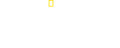 United States of Animals