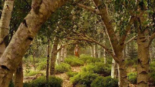 Le Monde de Narnia : Le Prince caspian - Still