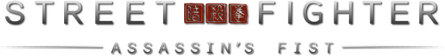 Street Fighter: Assassin's Fist