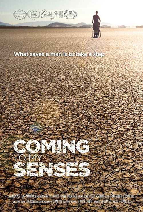 Coming To My Senses poster