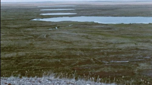 Netsilik Eskimo, II: At the Caribou Crossing Place