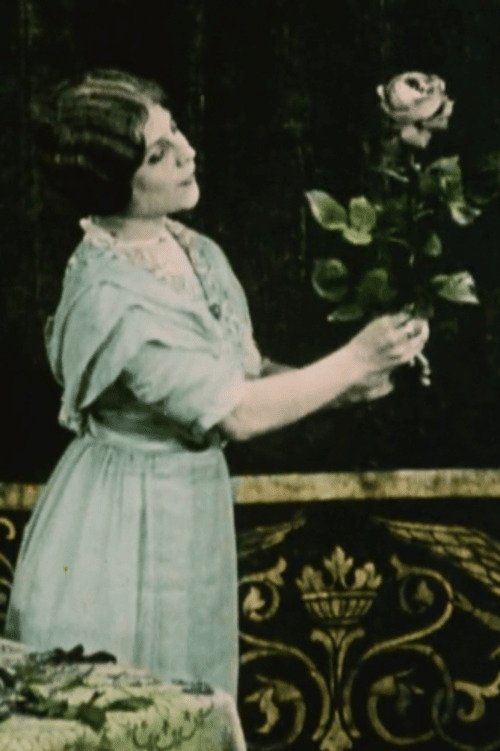 Het schoonste uit de natuur poster