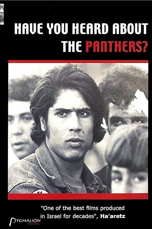 Have You Heard about the Panthers? Movie Poster Image