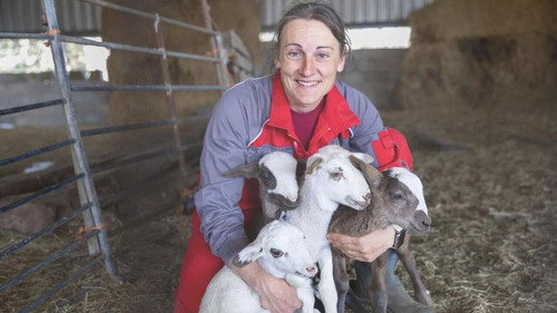 Enredadas en el cambio