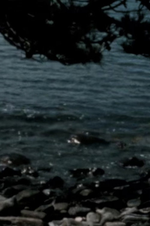 A Chasm and the Summer Sun