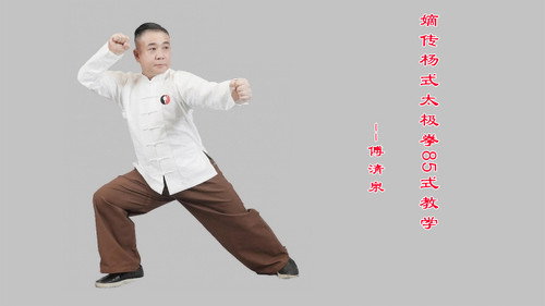 嫡传杨式太极拳 Bild 2