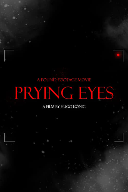 Prying Eyes (2011) poster