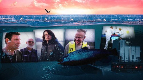 Brennpunkt - Lakselandet - Season 1 Backdrop Blur