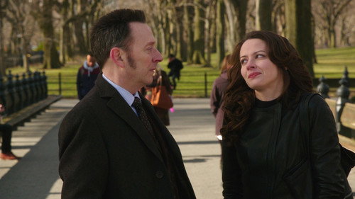 Person of Interest 2x22