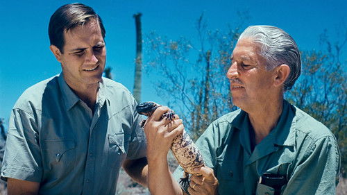 Escena 3 de Mutual of Omaha's Wild Kingdom