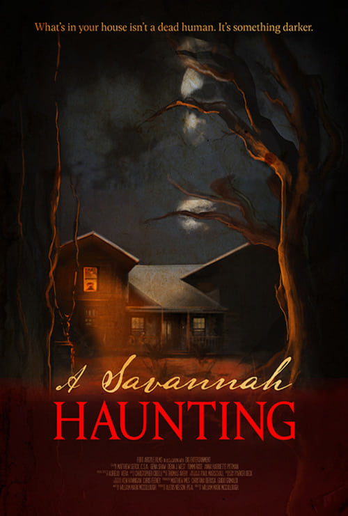 A Savannah Haunting Poster