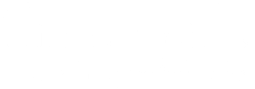 Gilmore Girls: Um Ano para Recordar