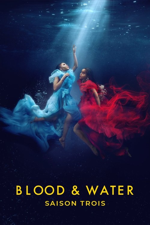 Poster de la saison 3