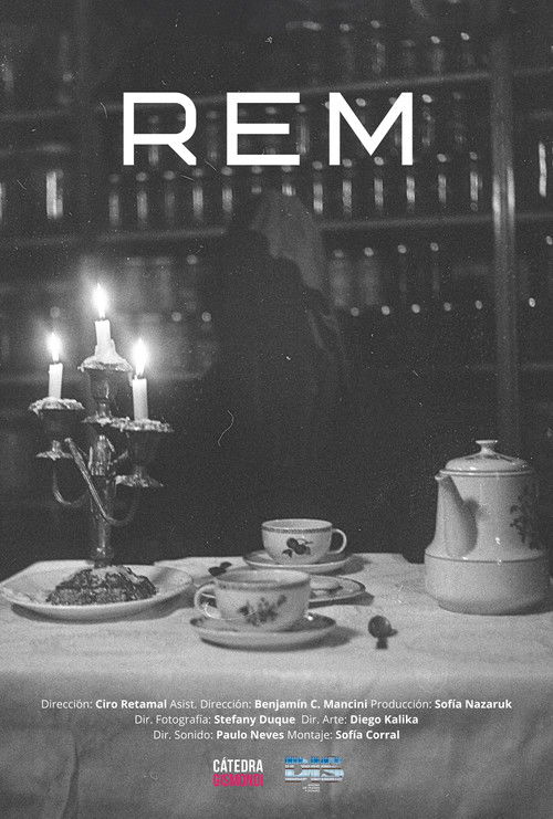 REM poster