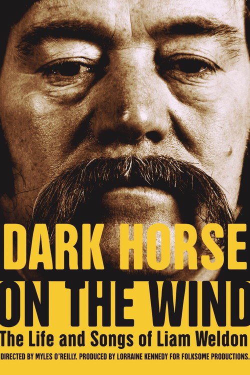 Dark Horse on the Wind