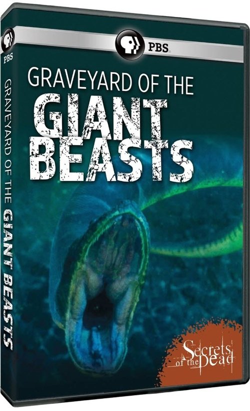 Graveyard of the Giant Beasts movie poster player