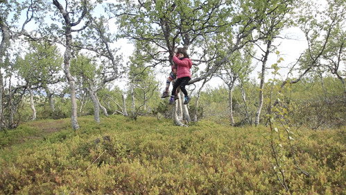 Forest Language Backdrop Blur